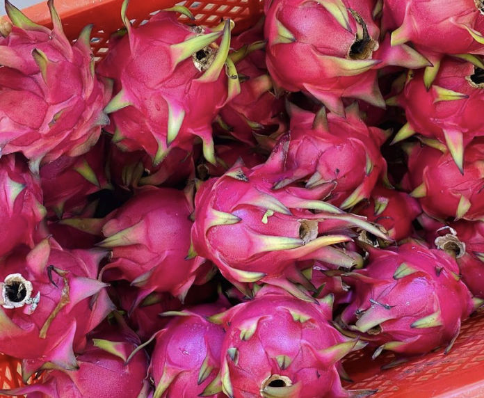 Dragon Fruit Produce - Lao Integrated Farms, Inc.